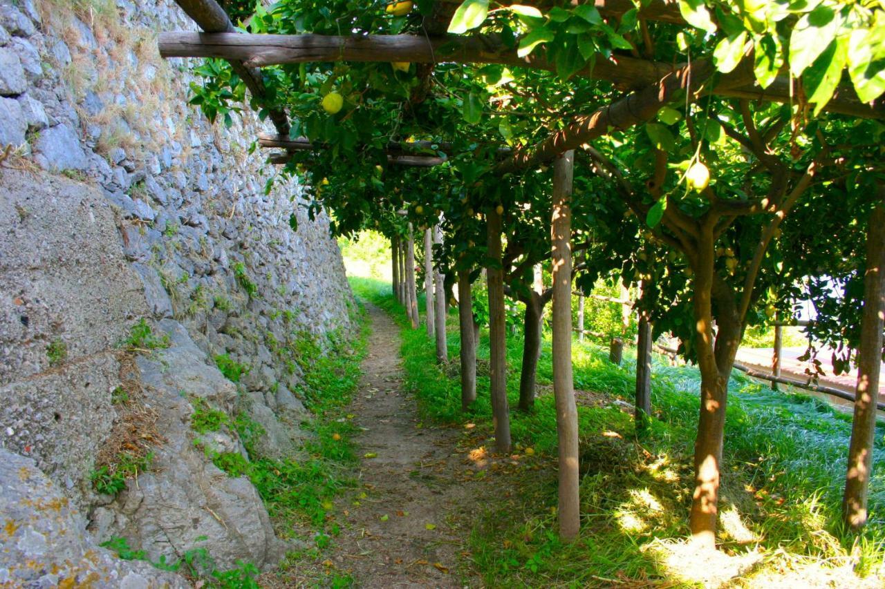 L' Ebbrezza Di Volare Villa Amalfi Exterior photo